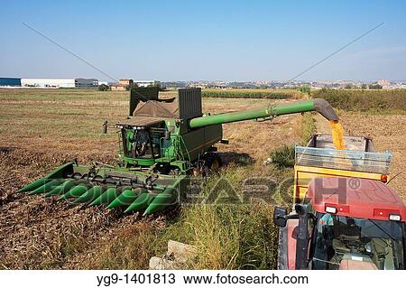 Combine-harvester unloading corn into a tow View Large Photo Image Stock Image - Combine-harvester unloading corn into a tow. Fotosearch