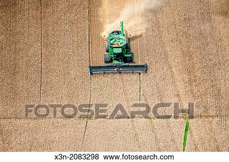 Stock Photo - Combine harvesting wheat an Eastern Shore of Maryland.. Fotosearch
