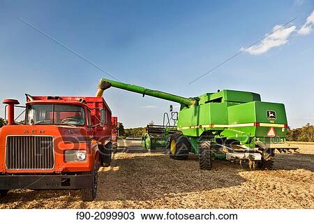 Combine transfers harvested soy beans. View Large Photo Image Stock Image - Combine transfers harvested soy beans.. Fotosearch