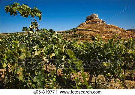 Comenge winery vineyards in the Ribera del Duero wine region with castle in background. Curiel de Duero, Valladolid province, Castilla-Leon, Spain View Large Photo Image Stock Image - Comenge winery vineyards in the Ribera del Duero wine region with castle in background. Curiel de Duero, Valladolid province, Castilla-Leon, Spain. Fotosearch