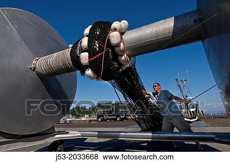 Commercial fisherman rolling trawl net onto large spool after making repars on the net at work area for commercial fishing boats, Anacortes, Washington USA. View Large Photo Image Stock Photo - Commercial fisherman rolling trawl net onto large spool after making repars on the net at work area for commercial fishing boats, Anacortes, Washington USA.. Fotosearch