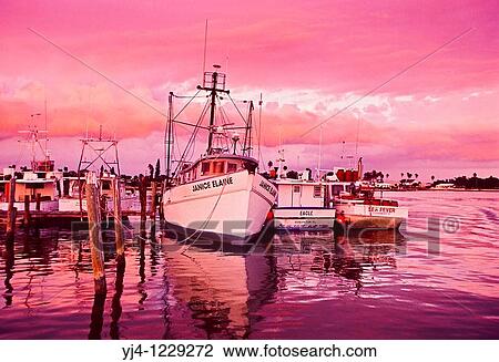 commercial fishing boats in harbor at sunset, Clearwater, Florida, USA, Atlantic Ocean View Large Photo Image Stock Image - commercial fishing boats in harbor at sunset, Clearwater, Florida, USA, Atlantic Ocean. Fotosearch