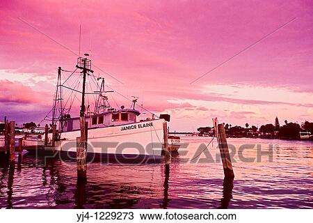 commercial fishing boats in harbor at sunset, Clearwater, Florida, USA, Atlantic Ocean View Large Photo Image Stock Image - commercial fishing boats in harbor at sunset, Clearwater, Florida, USA, Atlantic Ocean. Fotosearch