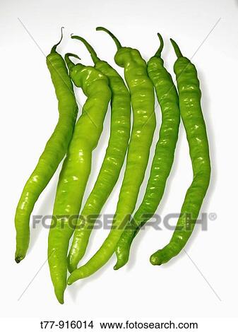 Common Chilies, Capsicum annuum View Large Photo Image Picture - Common Chilies, Capsicum annuum. Fotosearch