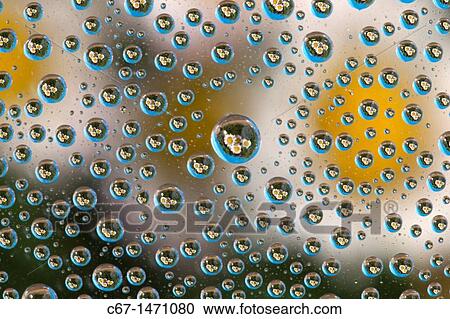 Common Daises reflected in water droplets View Large Photo Image Stock Image - Common Daises reflected in water droplets. Fotosearch