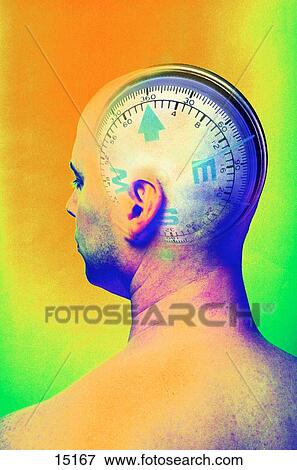 Compass head View Large Photo Image Stock Photo - Compass head. Fotosearch