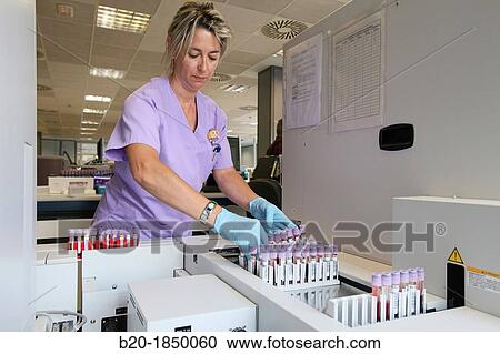 Complete Blood Count CBC or Hemogram, Hemotherapy, Donostia Hospital, San Sebastian, Donostia, Gipuzkoa, Basque Country, Spain View Large Photo Image Stock Image - Complete Blood Count CBC or Hemogram, Hemotherapy, Donostia Hospital, San Sebastian, Donostia, Gipuzkoa, Basque Country, Spain. Fotosearch