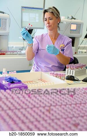 Stock Photo - Complete Blood Count CBC or Hemogram, Hemotherapy, Donostia Hospital, San Sebastian, Donostia, Gipuzkoa, Basque Country, Spain. Fotosearch