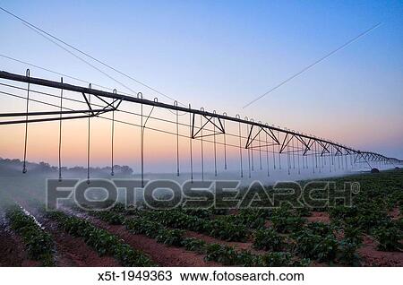 Computerized Mobile Watering System at sunrise Photographed in Israel, Negev, Kibbutz Dorot. View Large Photo Image Stock Image - Computerized Mobile Watering System at sunrise Photographed in Israel, Negev, Kibbutz Dorot.. Fotosearch