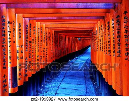 Comumns in the Fushimi-Inari Sanctuary, Kyoto, Japan. View Large Photo Image Stock Photo - Comumns in the Fushimi-Inari Sanctuary, Kyoto, Japan.. Fotosearch