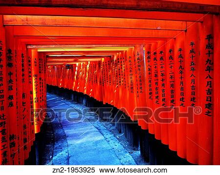 Comumns in the Fushimi-Inari Sanctuary, Kyoto, Japan. View Large Photo Image Stock Photography - Comumns in the Fushimi-Inari Sanctuary, Kyoto, Japan.. Fotosearch