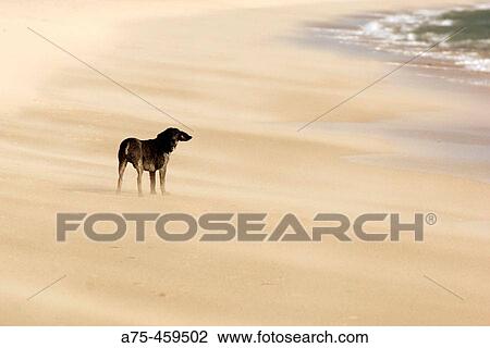 Stock Image - Concept. Fotosearch