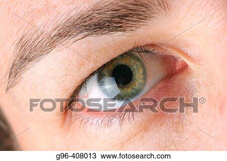 Stock Image - Concept. Fotosearch