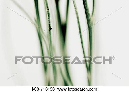 Stock Image - Concept. Fotosearch