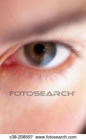 Concept View Large Photo Image Stock Photo - Concept. Fotosearch