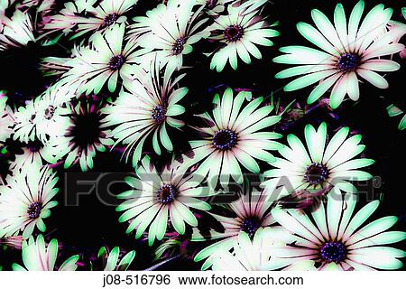 Stock Photograph - Concept. Fotosearch