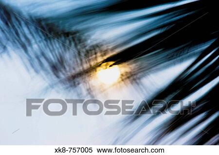 Concept View Large Photo Image Stock Photography - Concept. Fotosearch