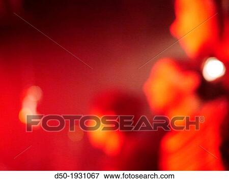 Stock Photo - Concert public, Stockholm, Sweden. Fotosearch