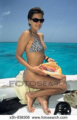 conche, conch, iles caymans, cayman islands, View Large Photo Image Stock Photograph - conche, conch, iles caymans, cayman islands,. Fotosearch