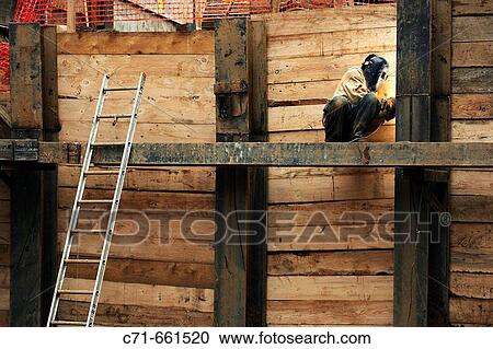 Construction welder, welding a steel beam View Large Photo Image Stock Image - Construction welder, welding a steel beam. Fotosearch