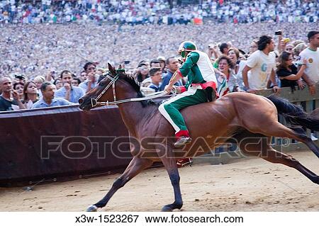 contrada of the goose, the race, palio of siena, siena, tuscany, italy, europe View Large Photo Image Stock Photo - contrada of the goose, the race, palio of siena, siena, tuscany, italy, europe. Fotosearch