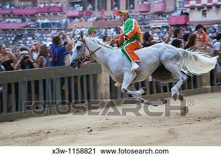 contrada of woods, palio of siena, siena, tuscany, italy, europe contrada della selva, palio di siena, siena, toscana, italia, europa View Large Photo Image Stock Image - contrada of woods, palio of siena, siena, tuscany, italy, europe contrada della selva, palio di siena, siena, toscana, italia, europa. Fotosearch
