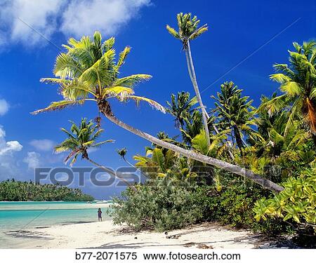 Cook Islands, Aitutaki, Motu Tapuaetai, One Foot Island at Aitutaki Lagoon. View Large Photo Image Stock Photography - Cook Islands, Aitutaki, Motu Tapuaetai, One Foot Island at Aitutaki Lagoon.. Fotosearch