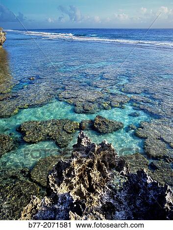 Cook Islands, Atiu Island, Makatea fringed coast line. View Large Photo Image Stock Image - Cook Islands, Atiu Island, Makatea fringed coast line.. Fotosearch