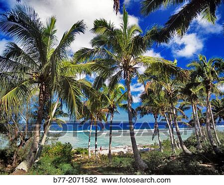 Cook Islands, Mangaia Island, island landscape. View Large Photo Image Stock Image - Cook Islands, Mangaia Island, island landscape.. Fotosearch