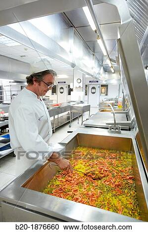 Cook preparing food, Hospital meal preparation, Kitchen, Hospital Donostia, San Sebastian, Gipuzkoa, Basque Country, Spain View Large Photo Image Stock Image - Cook preparing food, Hospital meal preparation, Kitchen, Hospital Donostia, San Sebastian, Gipuzkoa, Basque Country, Spain. Fotosearch