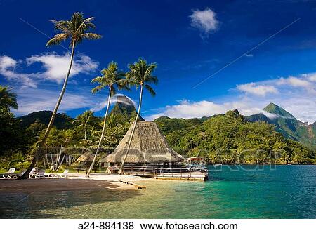 Cook's Bay, Moorea, Society Islands, French Polynesia (May, 2009) View Large Photo Image Stock Photo - Cook's Bay, Moorea, Society Islands, French Polynesia (May, 2009). Fotosearch
