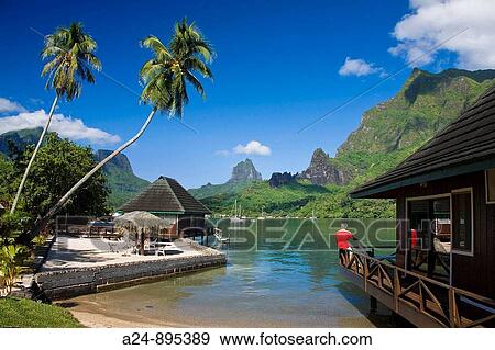 Cook's Bay, Moorea, Society Islands, French Polynesia (May, 2009) View Large Photo Image Stock Photo - Cook's Bay, Moorea, Society Islands, French Polynesia (May, 2009). Fotosearch