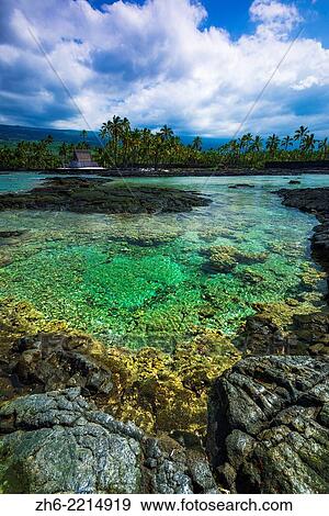 Coral reef and heiau, Pu'uhonua O Honaunau National Historic Park (City of Refuge), Kona Coast, Hawaii USA. View Large Photo Image Stock Photo - Coral reef and heiau, Pu'uhonua O Honaunau National Historic Park (City of Refuge), Kona Coast, Hawaii USA.. Fotosearch