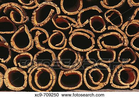 Corcho apilado. Alcornoque. Quercus suber. Alentejo. Portugal. View Large Photo Image Stock Image - Corcho apilado. Alcornoque. Quercus suber. Alentejo. Portugal.. Fotosearch