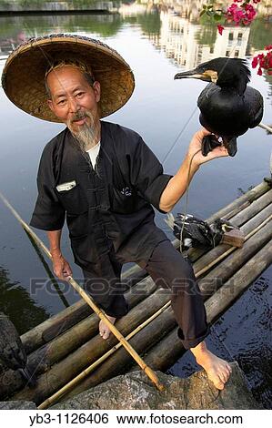 Cormorant Fisherman, Yangshuo, China View Large Photo Image Stock Photograph - Cormorant Fisherman, Yangshuo, China. Fotosearch