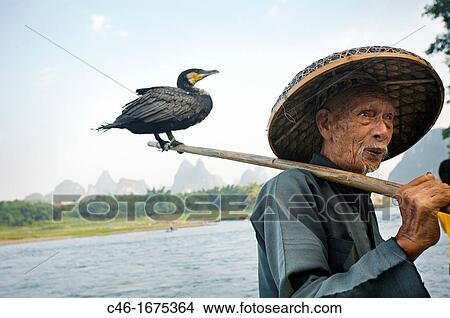 Cormorant fisherman, Yangshuo, Li River, Guangxi, China. View Large Photo Image Picture - Cormorant fisherman, Yangshuo, Li River, Guangxi, China.. Fotosearch