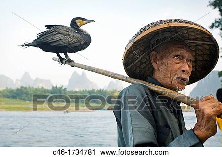 Cormorant fisherman, Yangshuo, Li River, Guangxi, China. View Large Photo Image Stock Image - Cormorant fisherman, Yangshuo, Li River, Guangxi, China.. Fotosearch