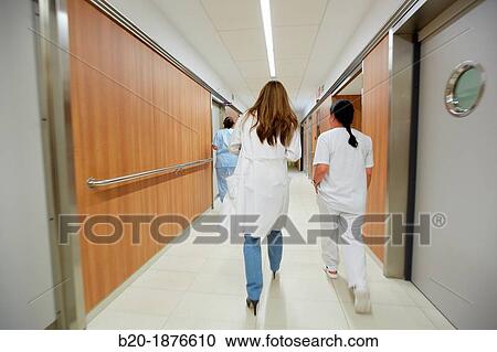 corridors, plant hospitalization, Hospital Donostia, San Sebastian, Gipuzkoa, Basque Country, Spain View Large Photo Image Stock Image - corridors, plant hospitalization, Hospital Donostia, San Sebastian, Gipuzkoa, Basque Country, Spain. Fotosearch