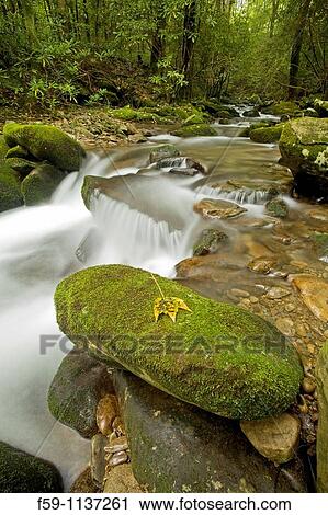 Cosby Creek, Great Smoky Mtns Nat Park, TN View Large Photo Image Stock Image - Cosby Creek, Great Smoky Mtns Nat Park, TN. Fotosearch