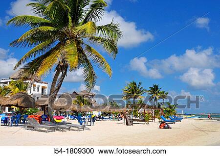Costa Maya Mexico Beach Caribbean View Large Photo Image Stock Image - Costa Maya Mexico Beach Caribbean. Fotosearch