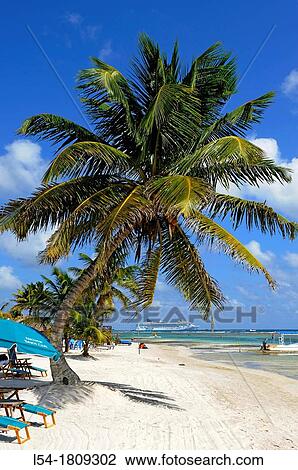 Stock Image - Costa Maya Mexico Beach Caribbean. Fotosearch