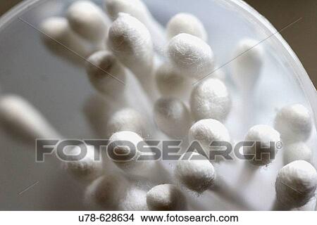 Cotton buds View Large Photo Image Picture - Cotton buds. Fotosearch