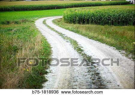 Country road, Camino de Santiago, North Road, Spain, View Large Photo Image Stock Photograph - Country road, Camino de Santiago, North Road, Spain,. Fotosearch