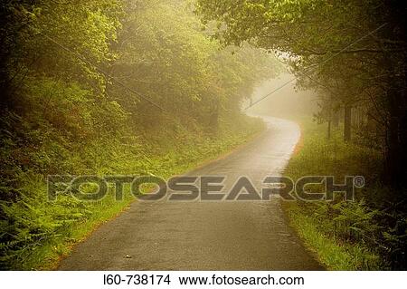 Country road, Finisterre. La Corua province, Galicia, Spain View Large Photo Image Picture - Country road, Finisterre. La Corua province, Galicia, Spain. Fotosearch