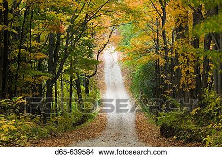 Picture - Country Road in Autumn. Eastport. Lake Michigan Shore. Michigan. USA.. Fotosearch