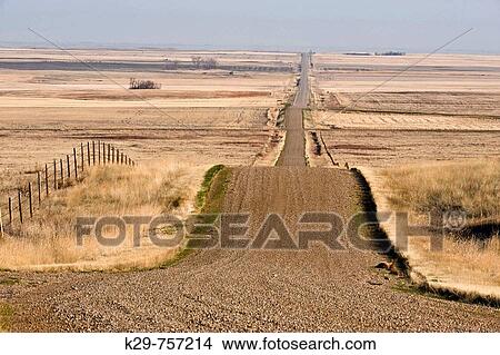 Picture - Country Road in Canadian prairie in early spring, near Seven Persons, Alberta. Fotosearch
