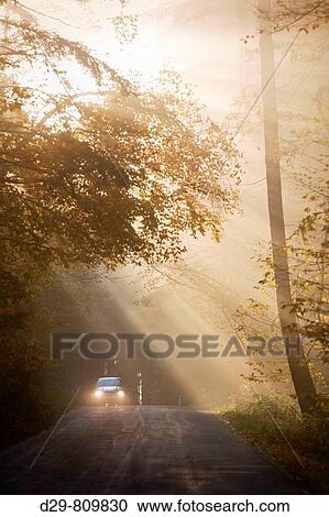 Country road in fog. Southern Bohemia, Czech Republic View Large Photo Image Stock Image - Country road in fog. Southern Bohemia, Czech Republic. Fotosearch