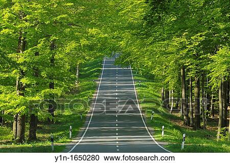 Country Road in the Spring, Rothenbuch, Spessart, Bavaria, Germany View Large Photo Image Stock Image - Country Road in the Spring, Rothenbuch, Spessart, Bavaria, Germany. Fotosearch
