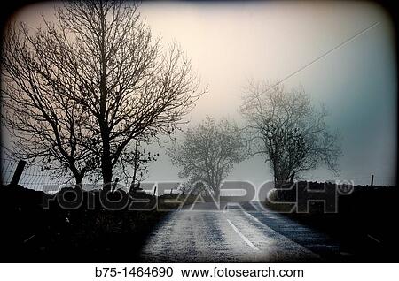 Country road View Large Photo Image Stock Image - Country road. Fotosearch