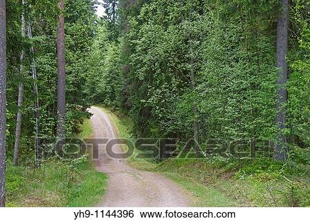 Stock Photograph - Country Road. Fotosearch